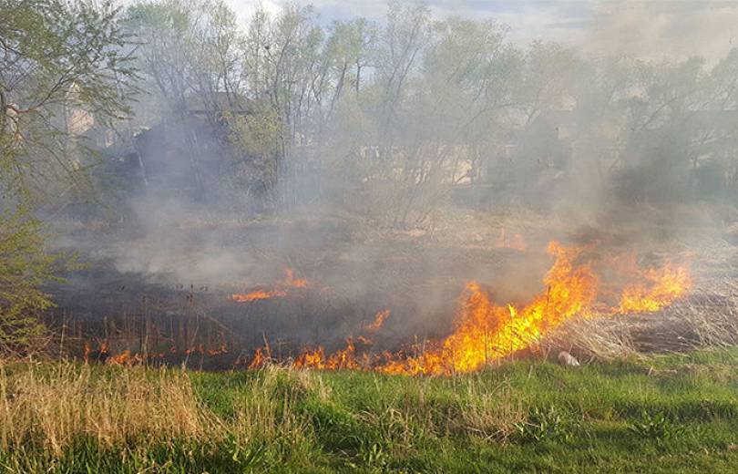 АРМЕНИЯ: Пожарные-спасатели потушили пожары на травяных участках около 29 га. МЧС