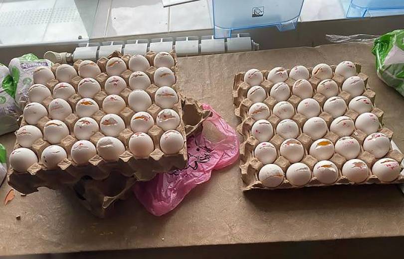 АРМЕНИЯ: В одной из гюмрийских школ обнаружены просроченные пищевые продукты