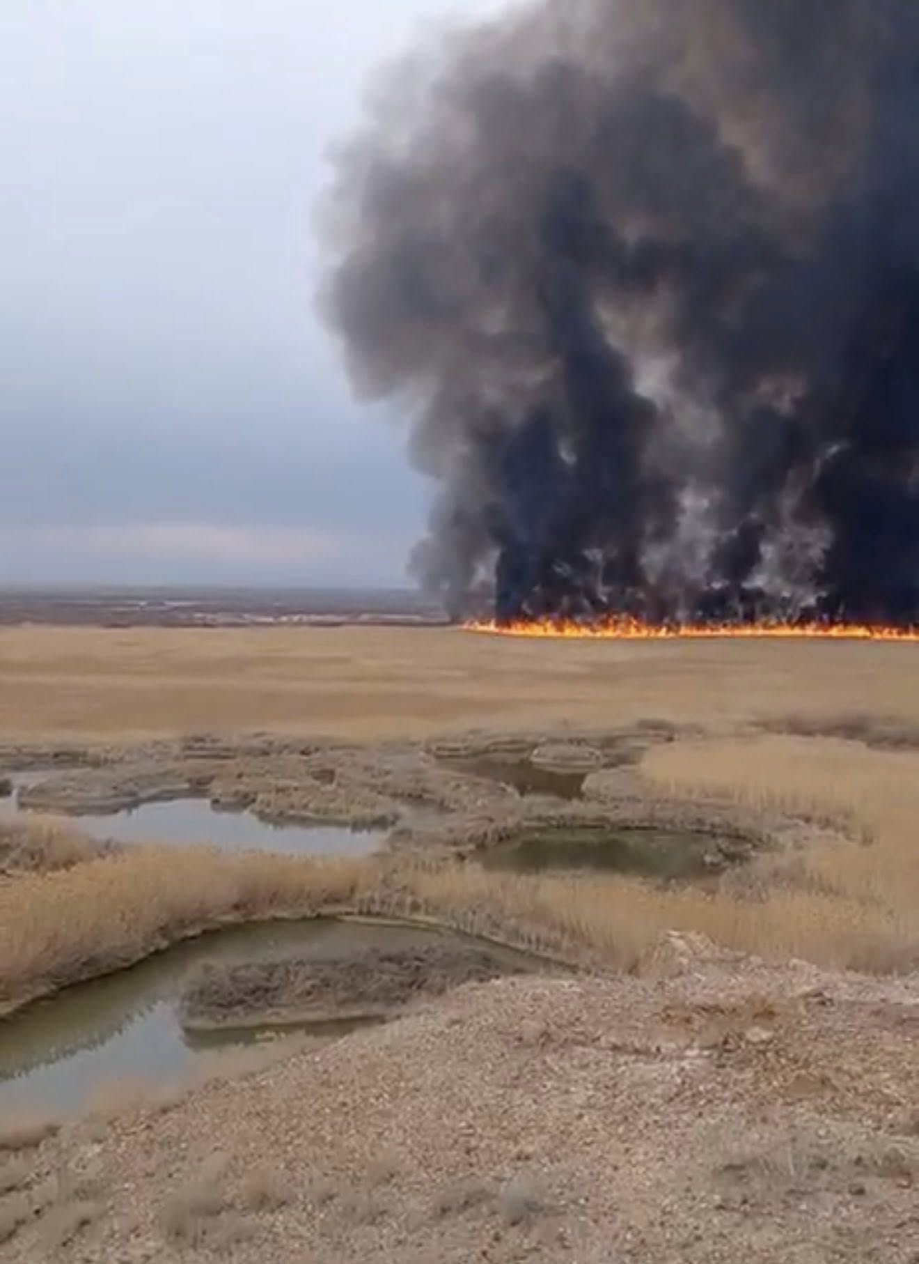 648297147_1346350144186874_7033112335225567034_n.jpg (120 KB)