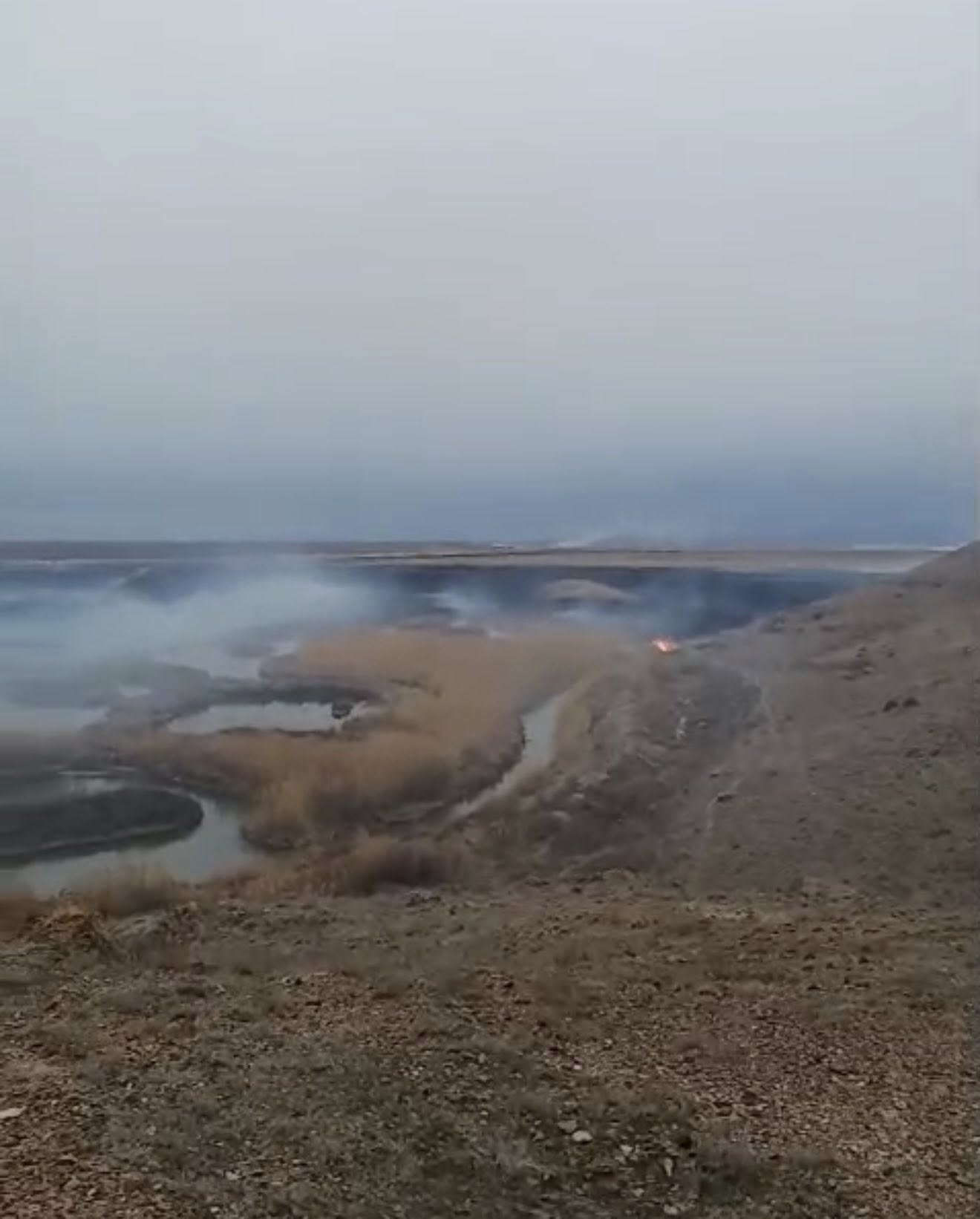 648612202_1346350114186877_8967966741979146416_n.jpg (105 KB)