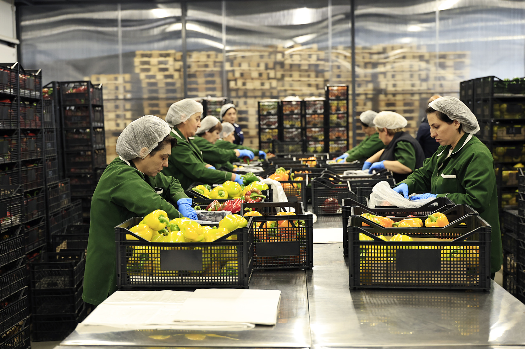 64521_b.jpg (814 KB)