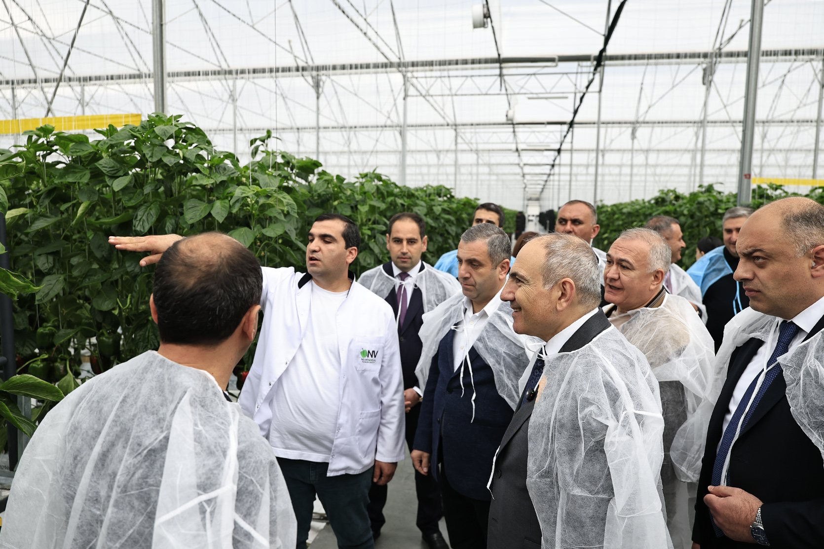 64527_b.jpg (729 KB)