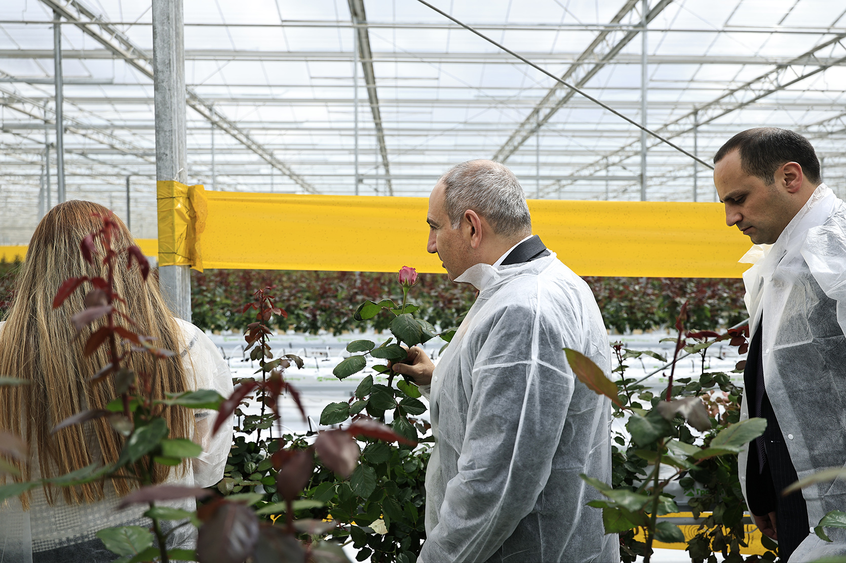 64606_b.jpg (859 KB)