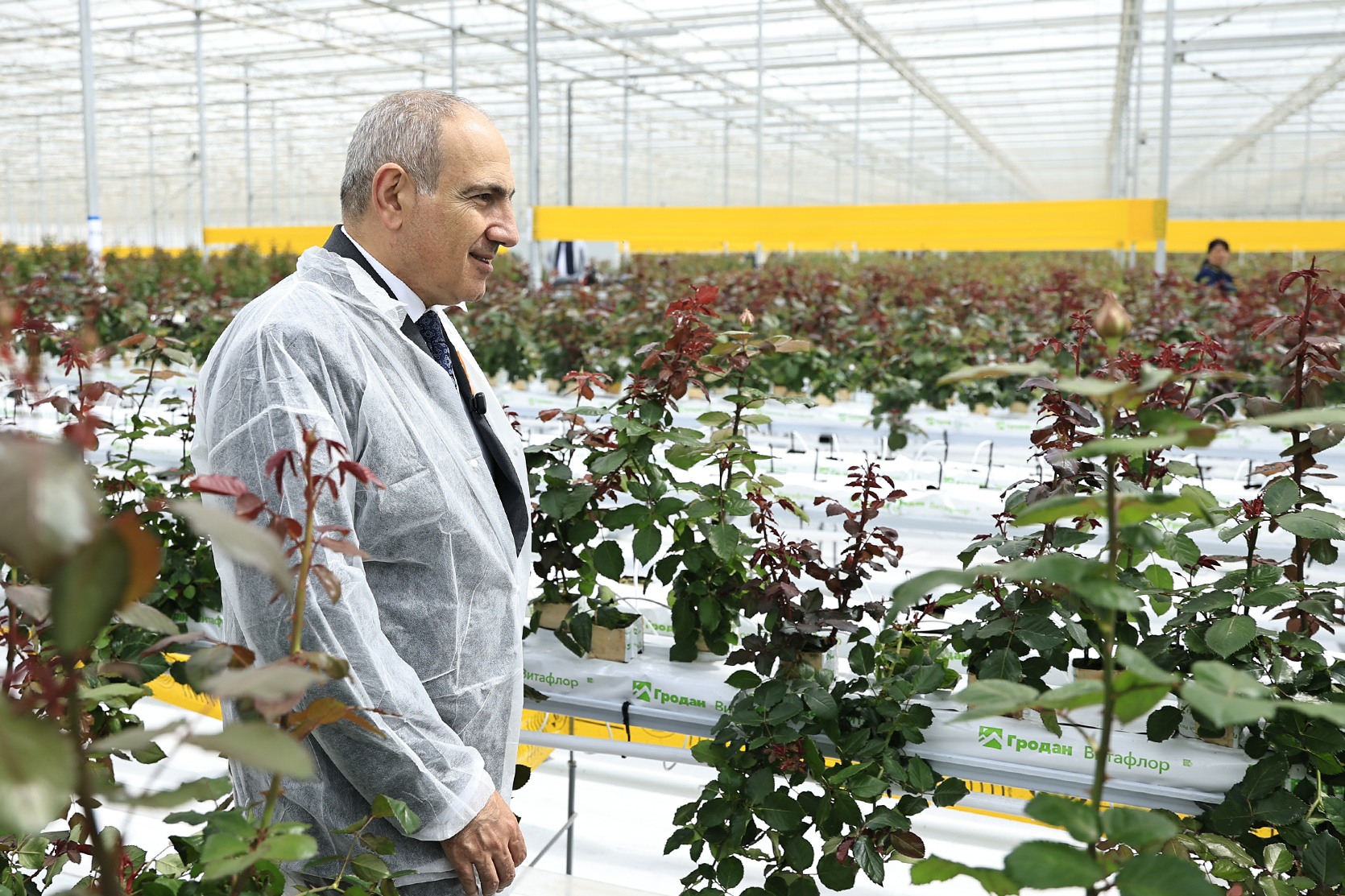 64607_b.jpg (925 KB)