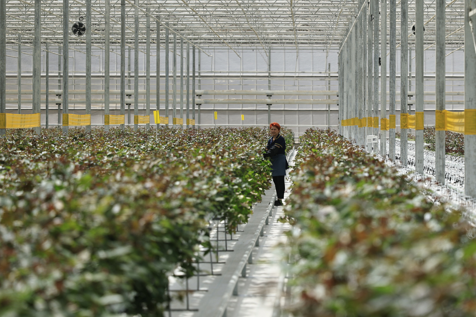 64611_b.jpg (855 KB)