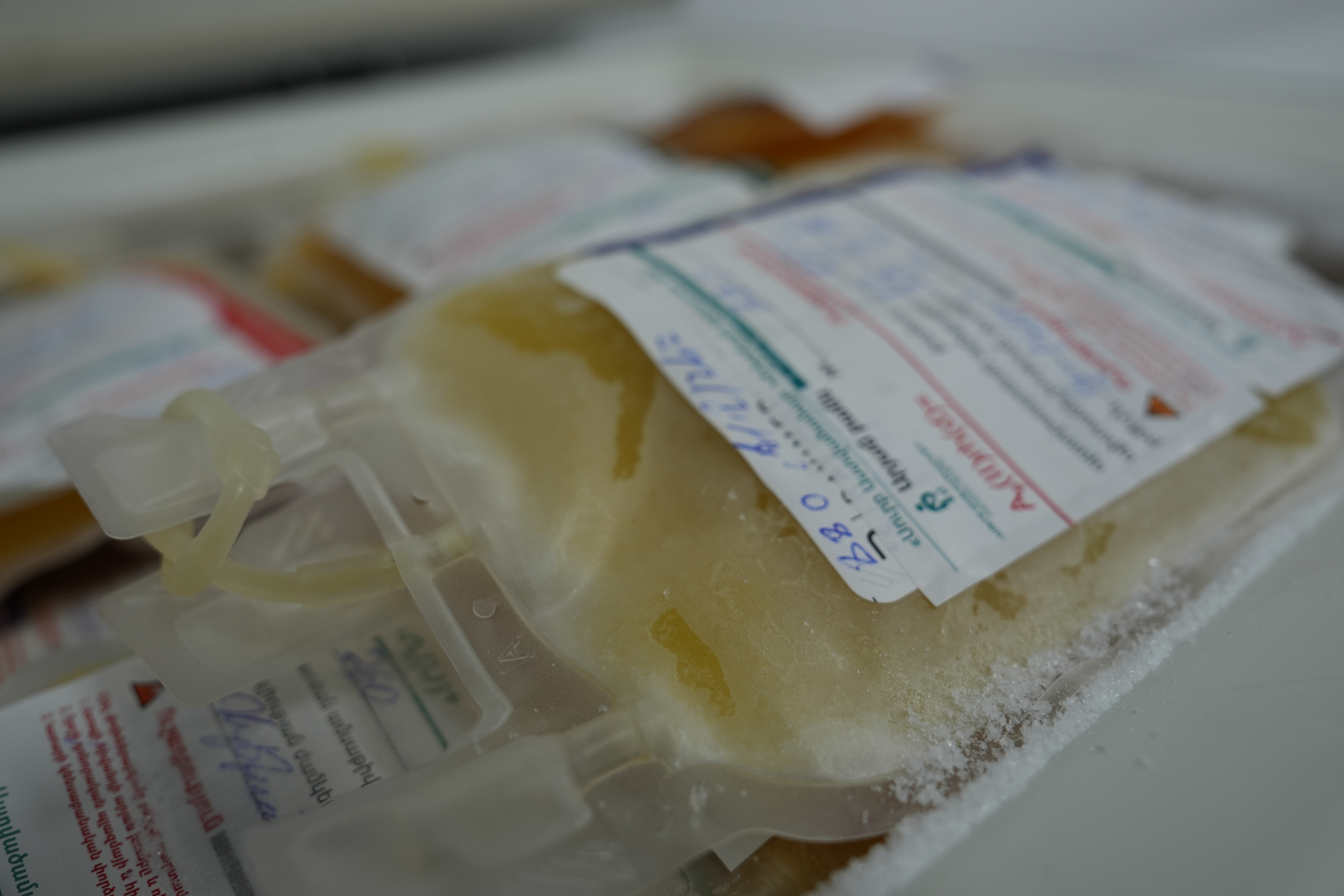 DSC02042.JPG (6.40 MB)