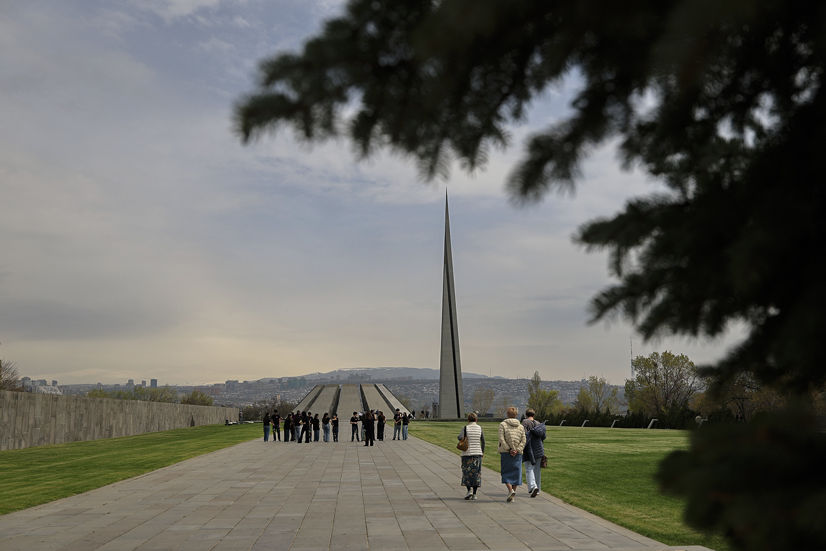 65003_b.jpg (509 KB)