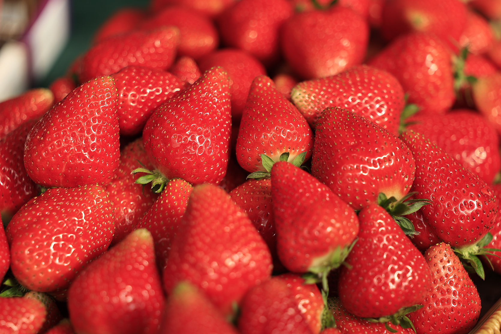 65203_b.jpg (828 KB)