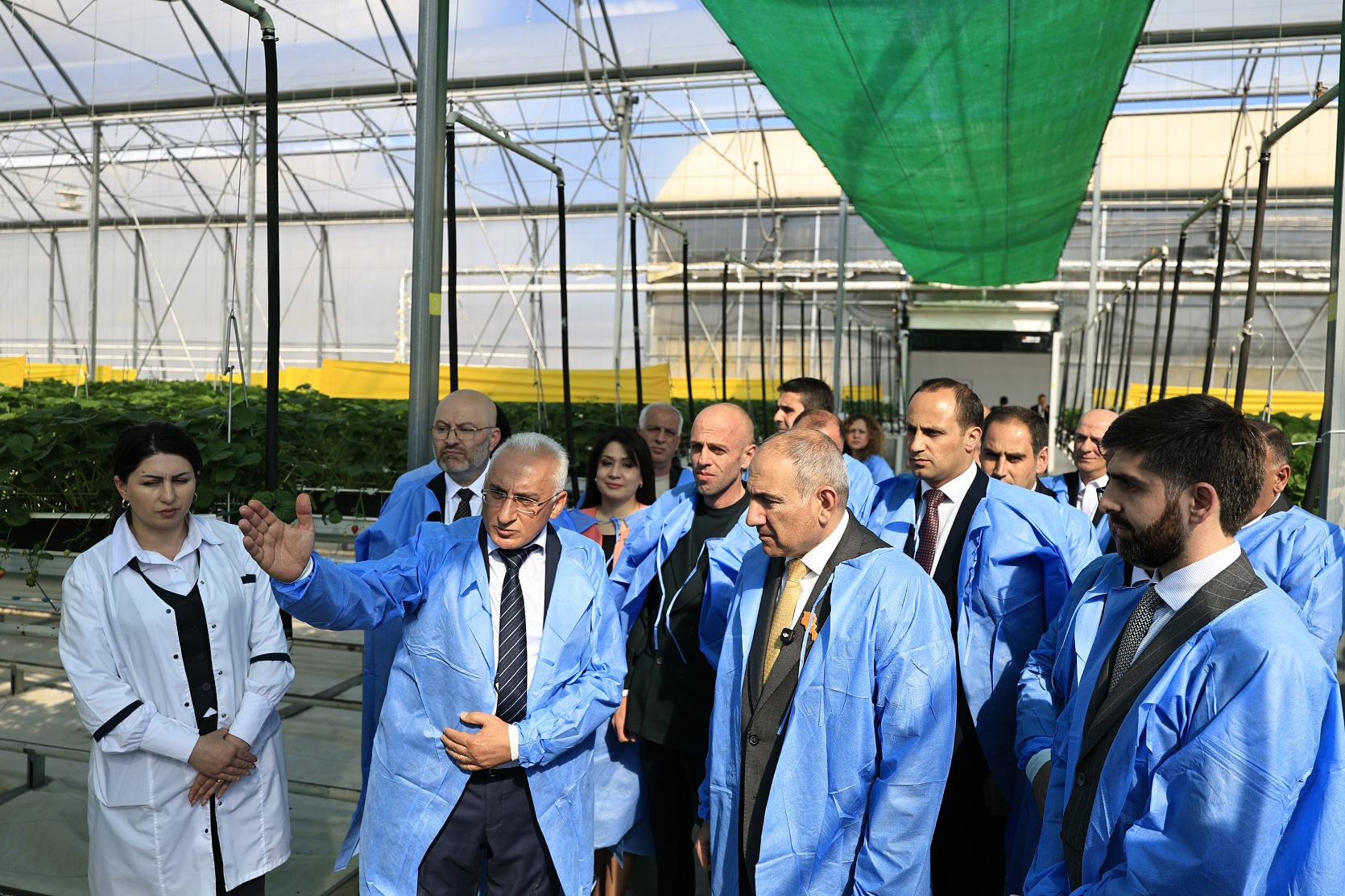 65205_b.jpg (923 KB)