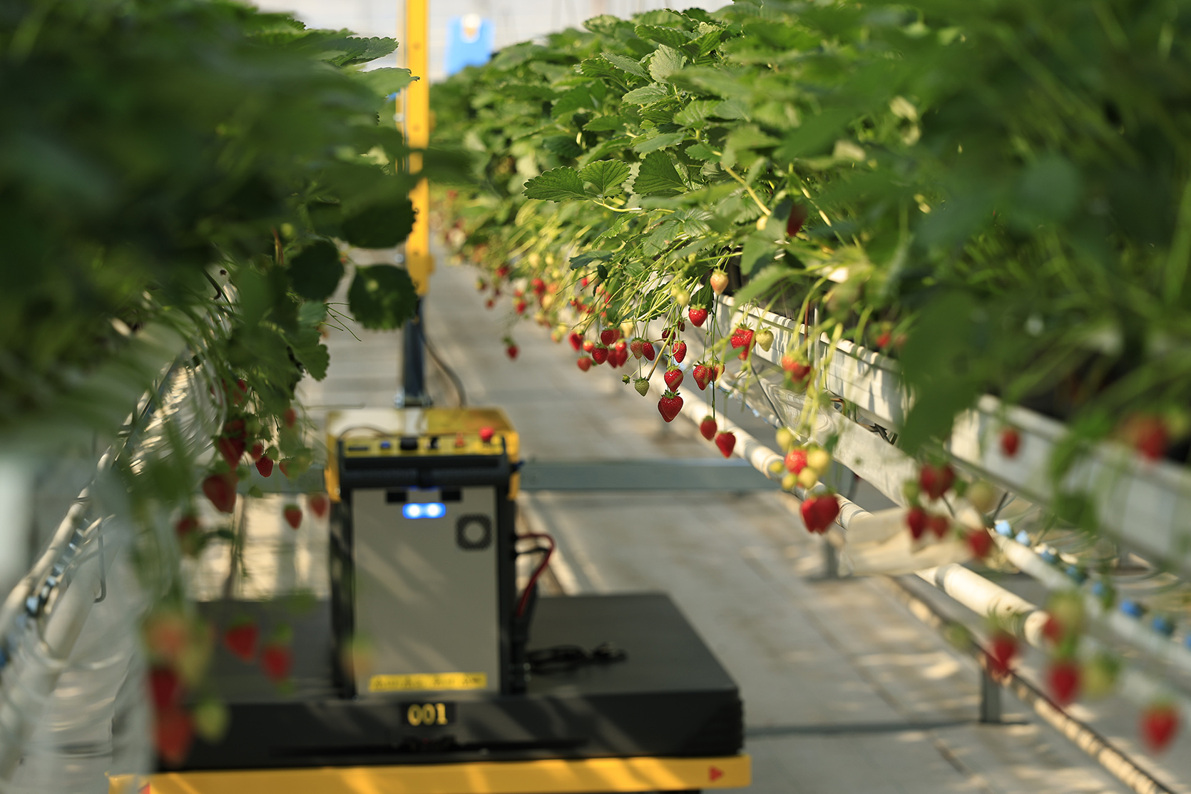 65208_b.jpg (546 KB)