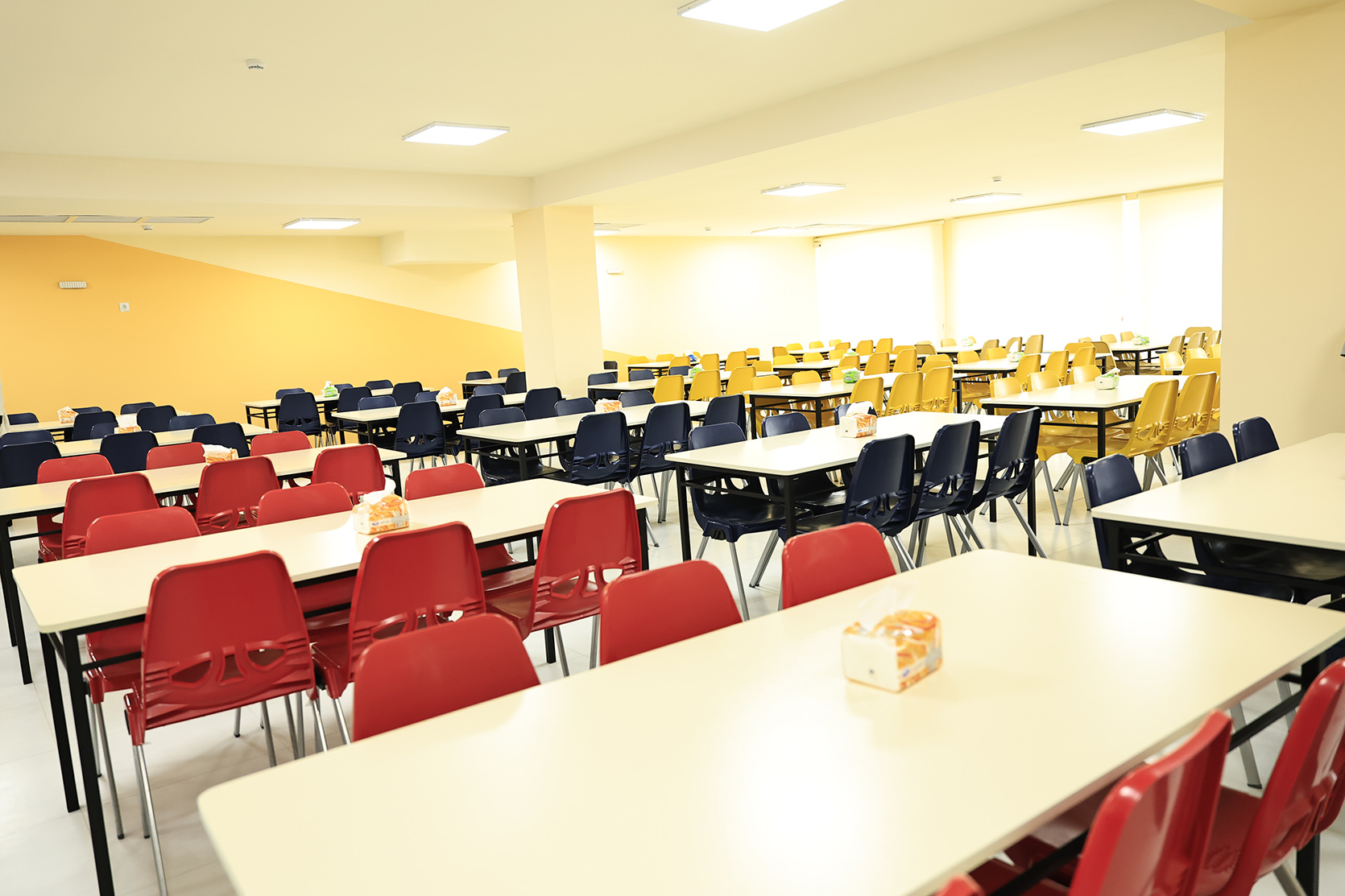 65237_b.jpg (496 KB)