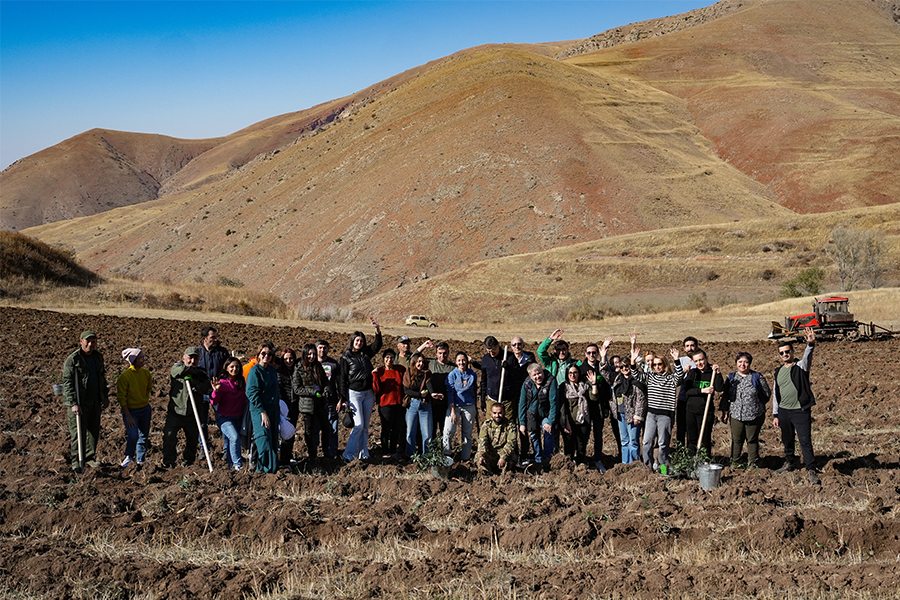 03 900x600.jpg (669 KB)