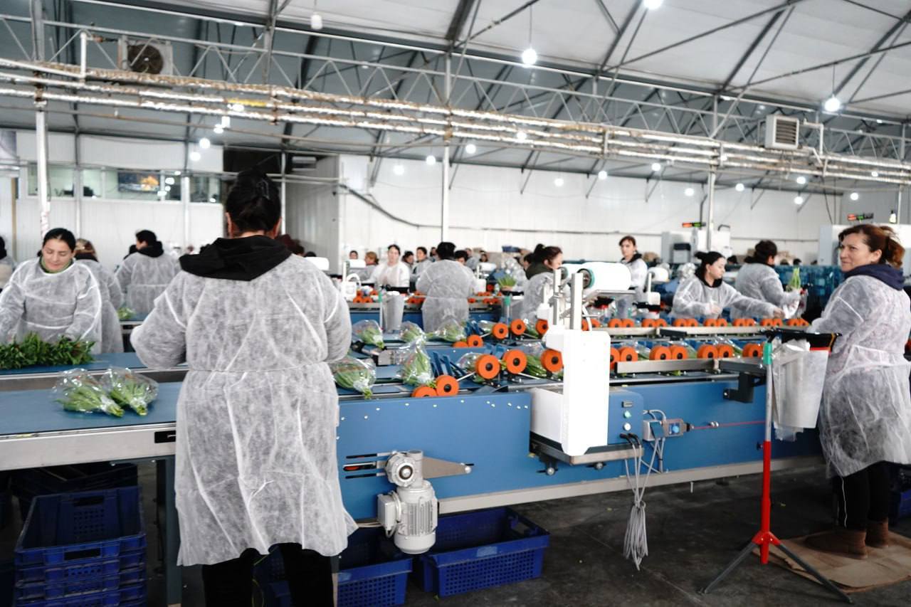 475997837_1049204083915641_6287350166543844167_n.jpg (142 KB)