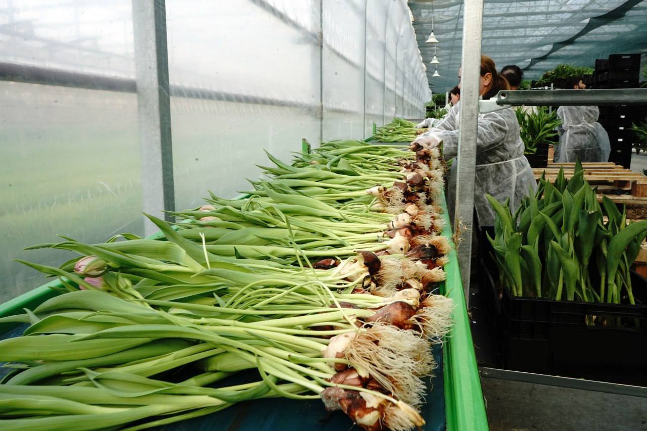 476182134_1049204177248965_6656508810965657485_n.jpg (139 KB)