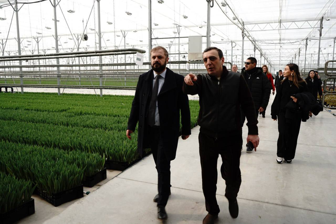 476461147_1049204127248970_5757700177156627135_n.jpg (133 KB)