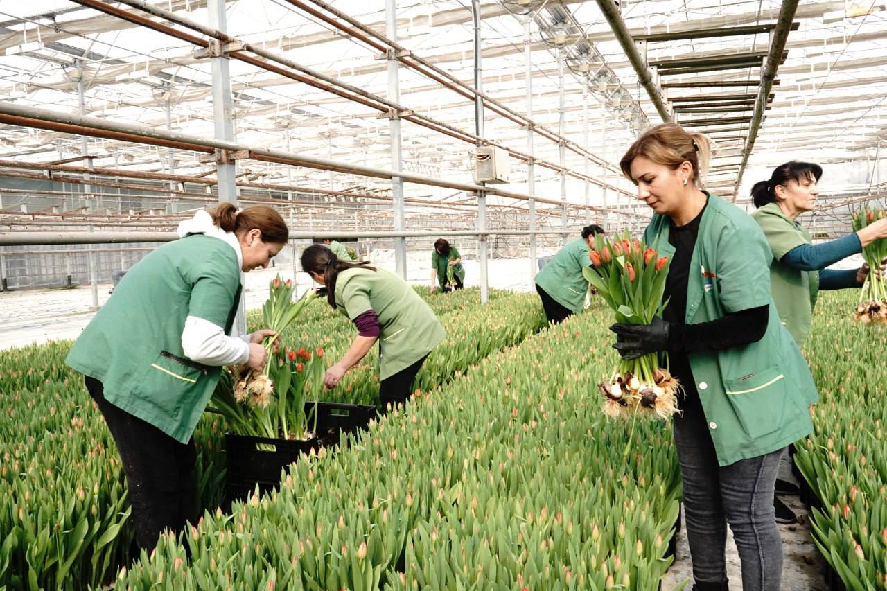 476834195_1049204040582312_8605140165052176724_n.jpg (214 KB)