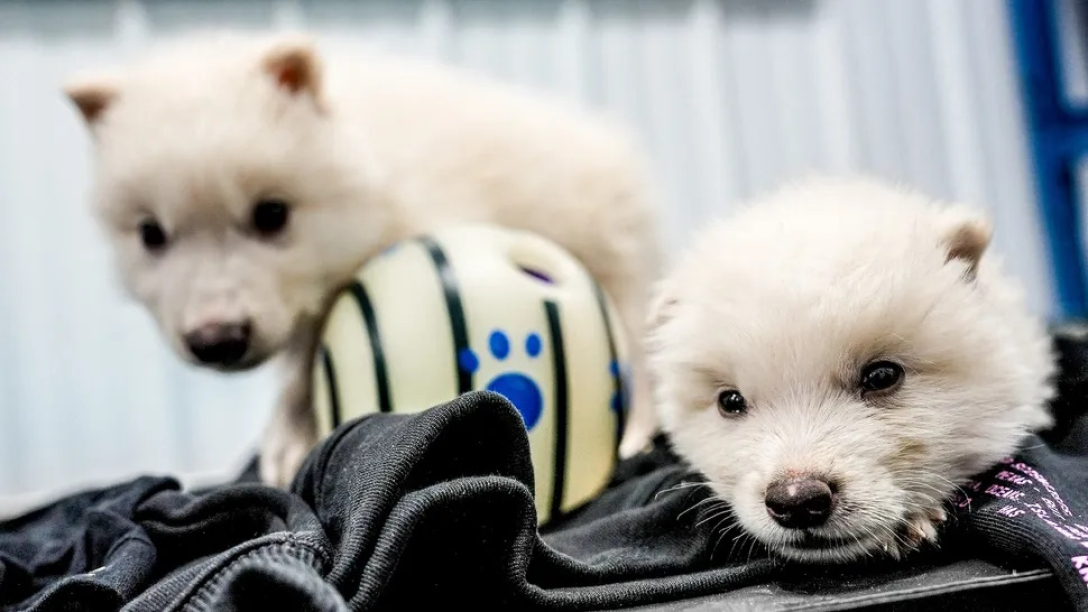 14b5e1f4-b110a7aa7a4d01f5fe4224d28433df79.jpg (381 KB)