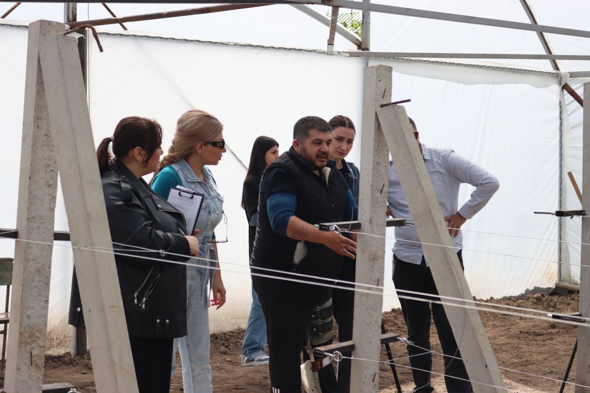 67f7c05983587-1744289881-img-5150.jpg (127 KB)