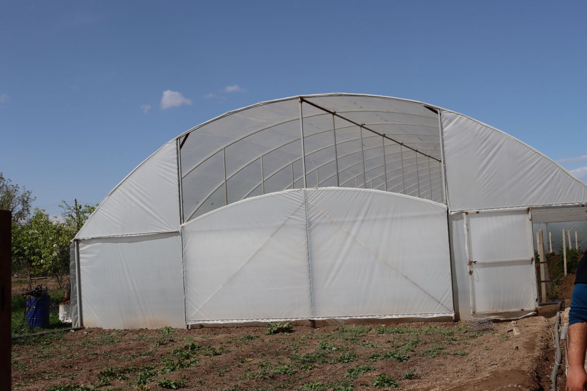 67f7c063dcd16-1744289891-img-5156.jpg (121 KB)