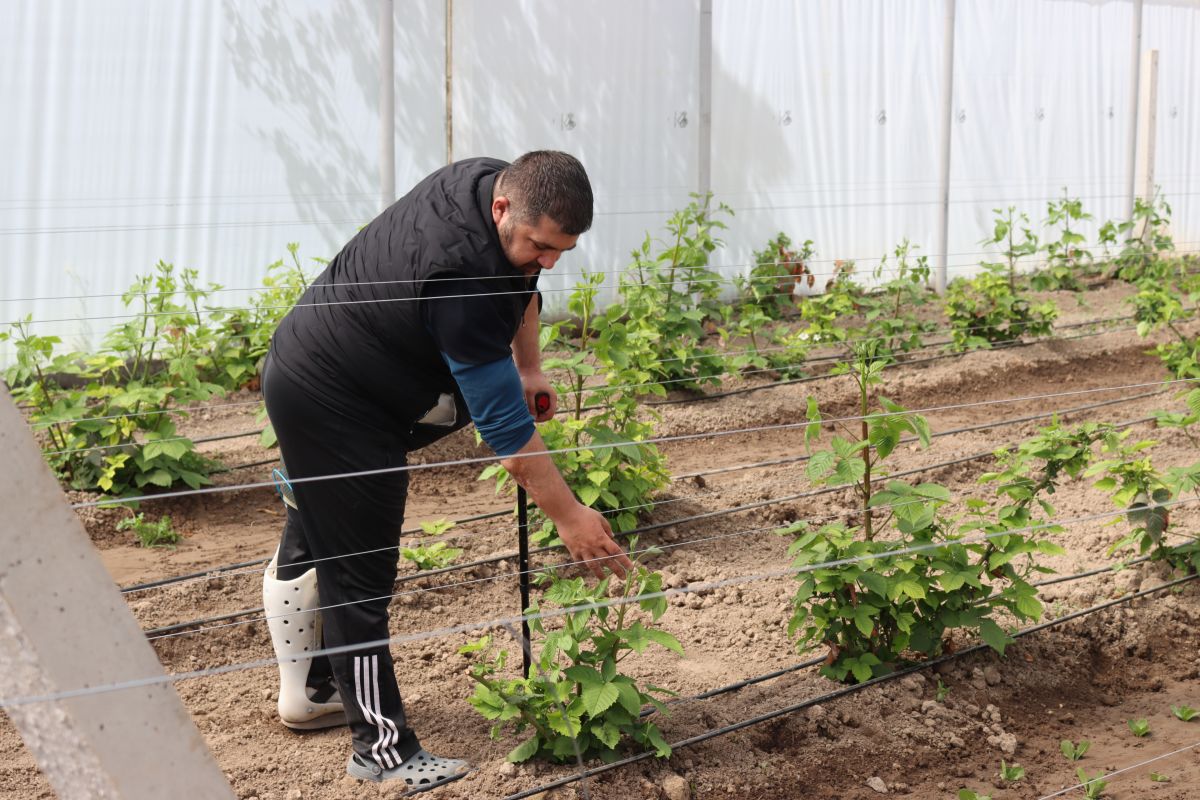 67f7c06985d63-1744289897-img-5161.jpg (192 KB)