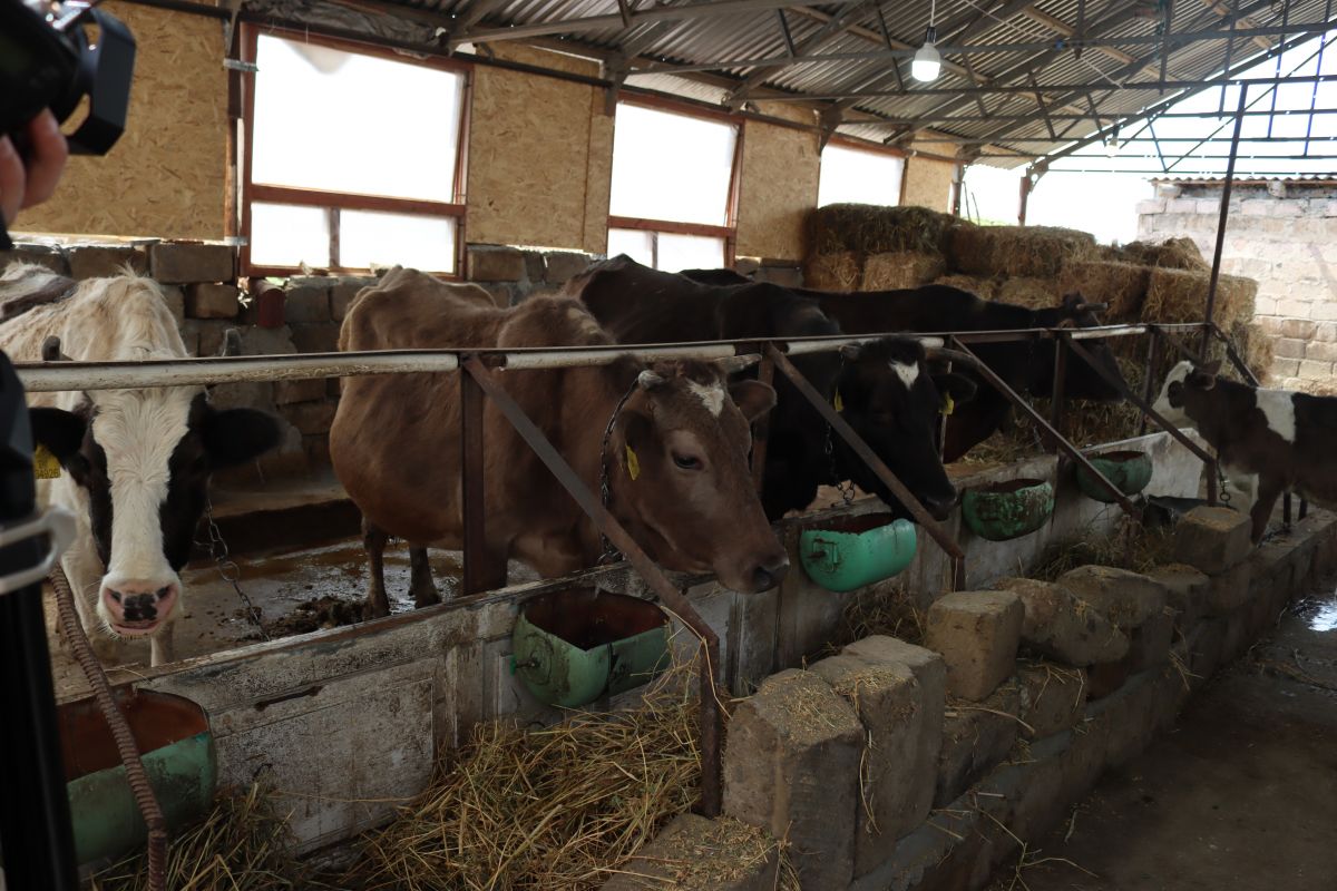 67f7c06f85d6a-1744289903-img-5163.jpg (159 KB)