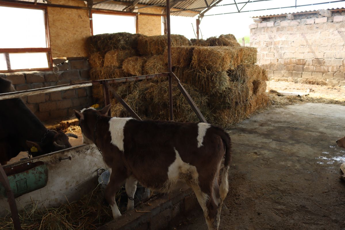 67f7c076e5e15-1744289910-img-5164.jpg (149 KB)