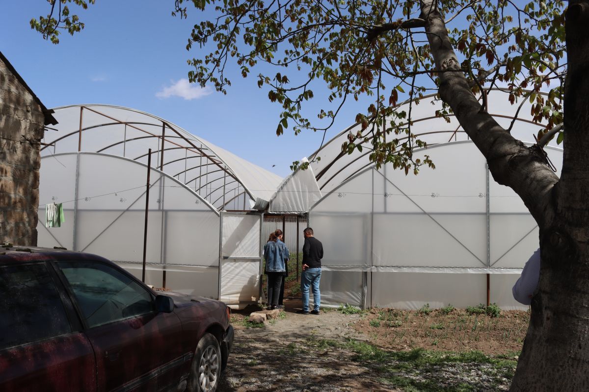 67f7c0815b0de-1744289921-img-5170.jpg (188 KB)