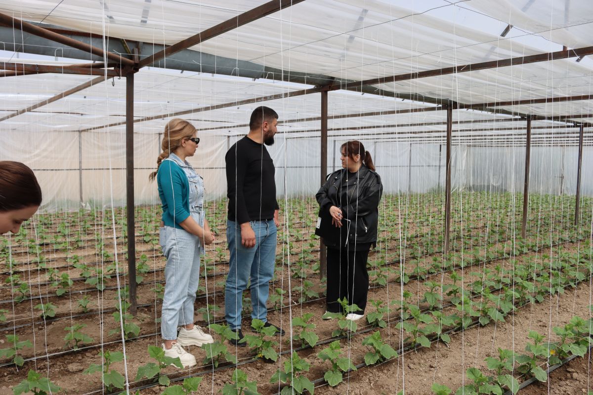 67f7c08800f75-1744289928-img-5172.jpg (226 KB)