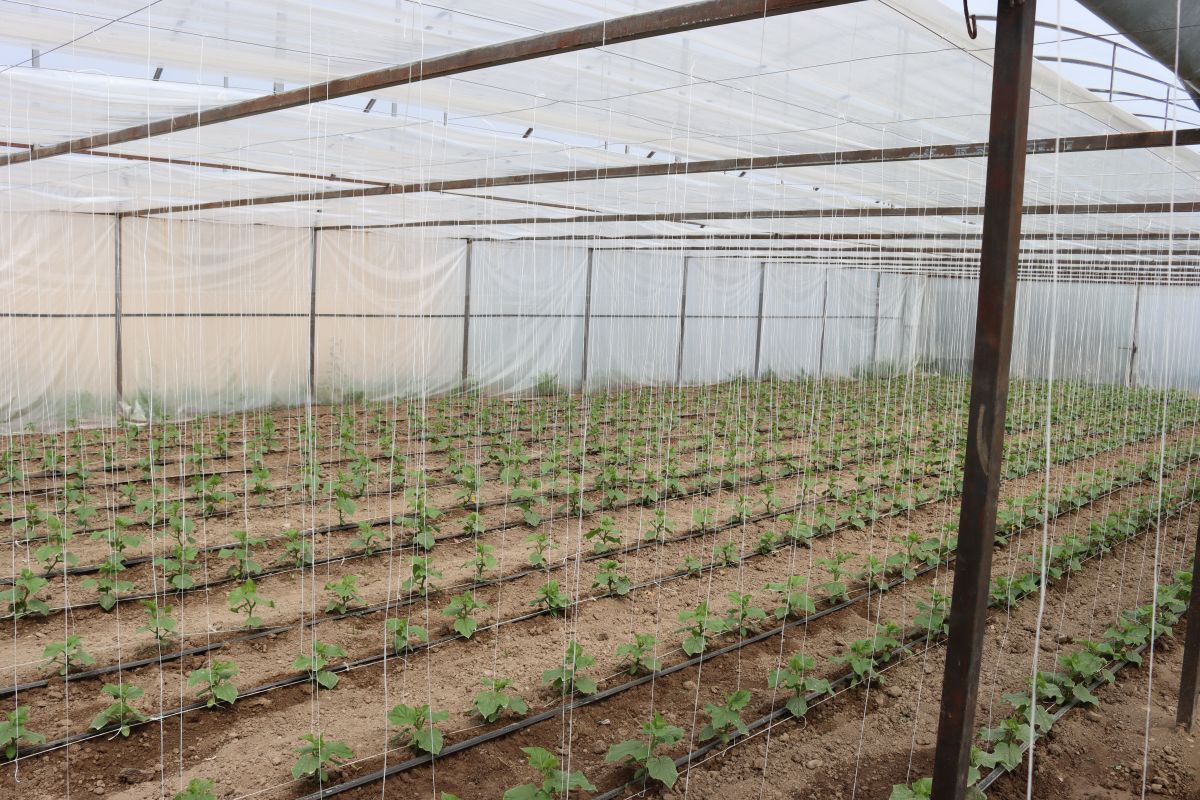 67f7c08d4eb89-1744289933-img-5177.jpg (237 KB)