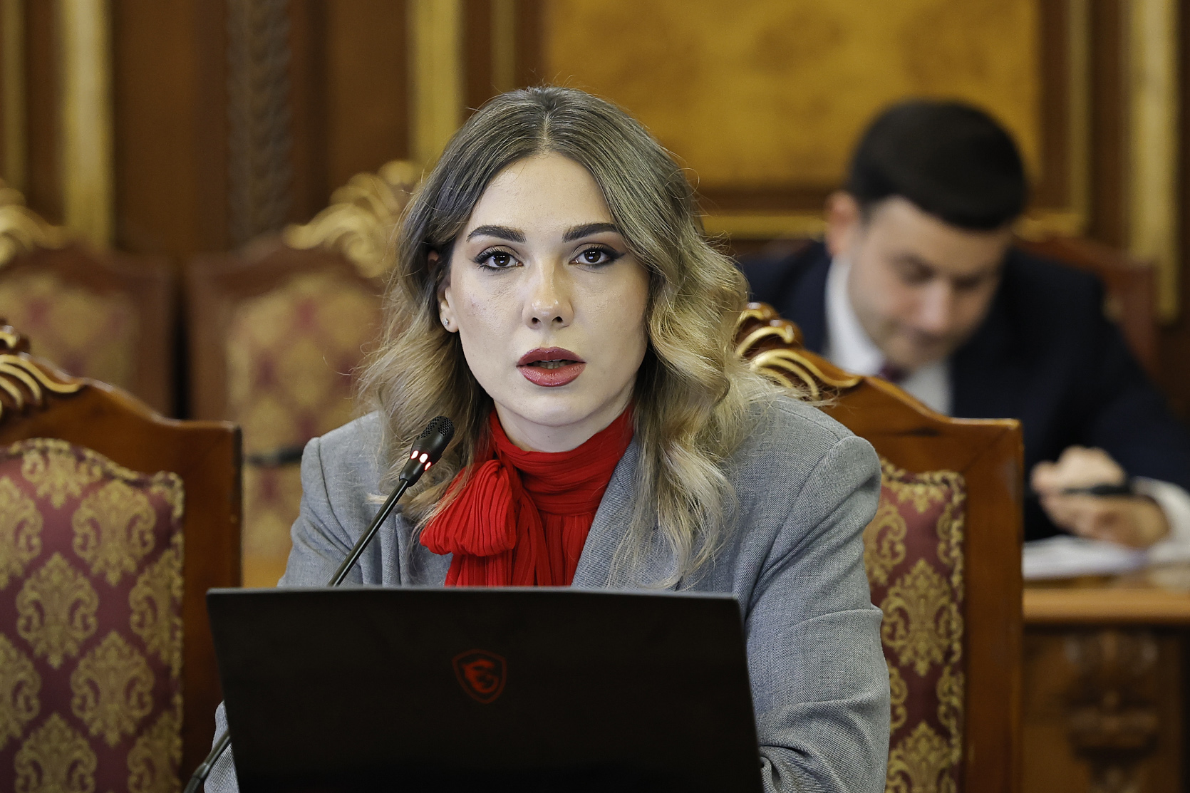 62088_b.jpg (659 KB)