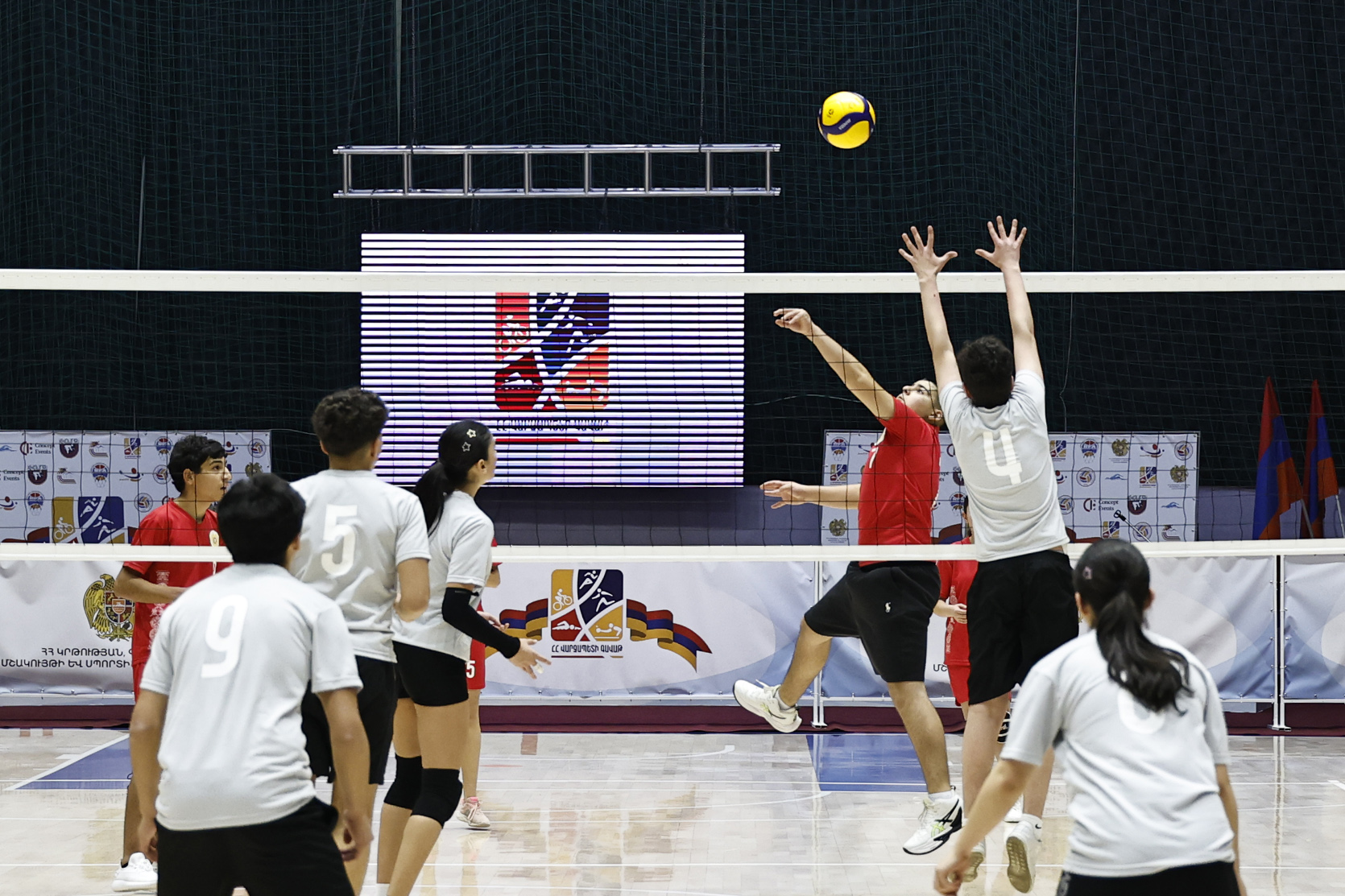 62151_b.jpg (771 KB)