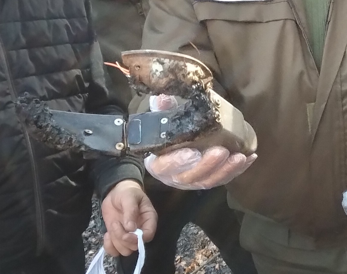 010101 (1).jpg (211 KB)