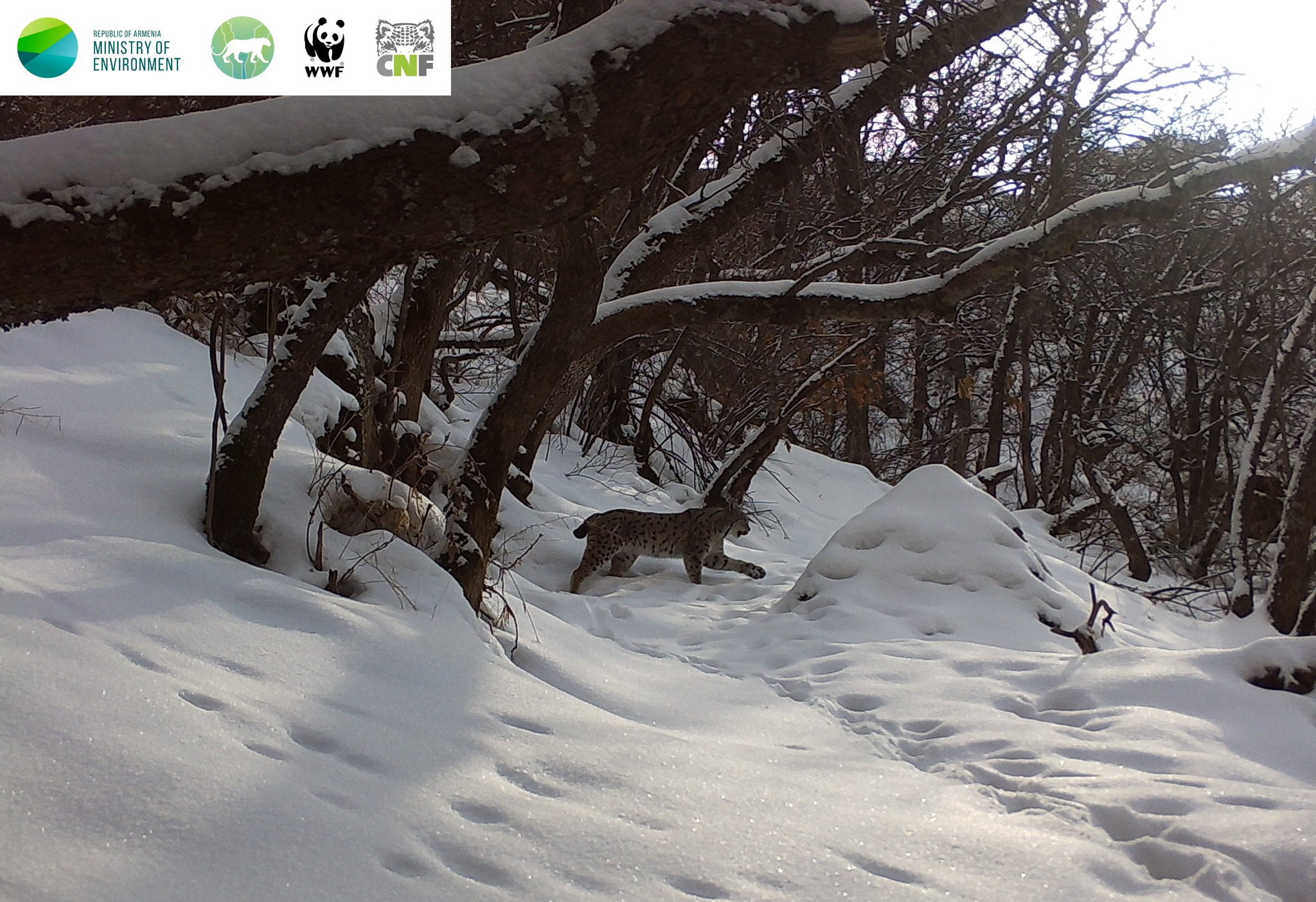 611618864_1215812927406741_6063568742446644146_n.jpg (767 KB)