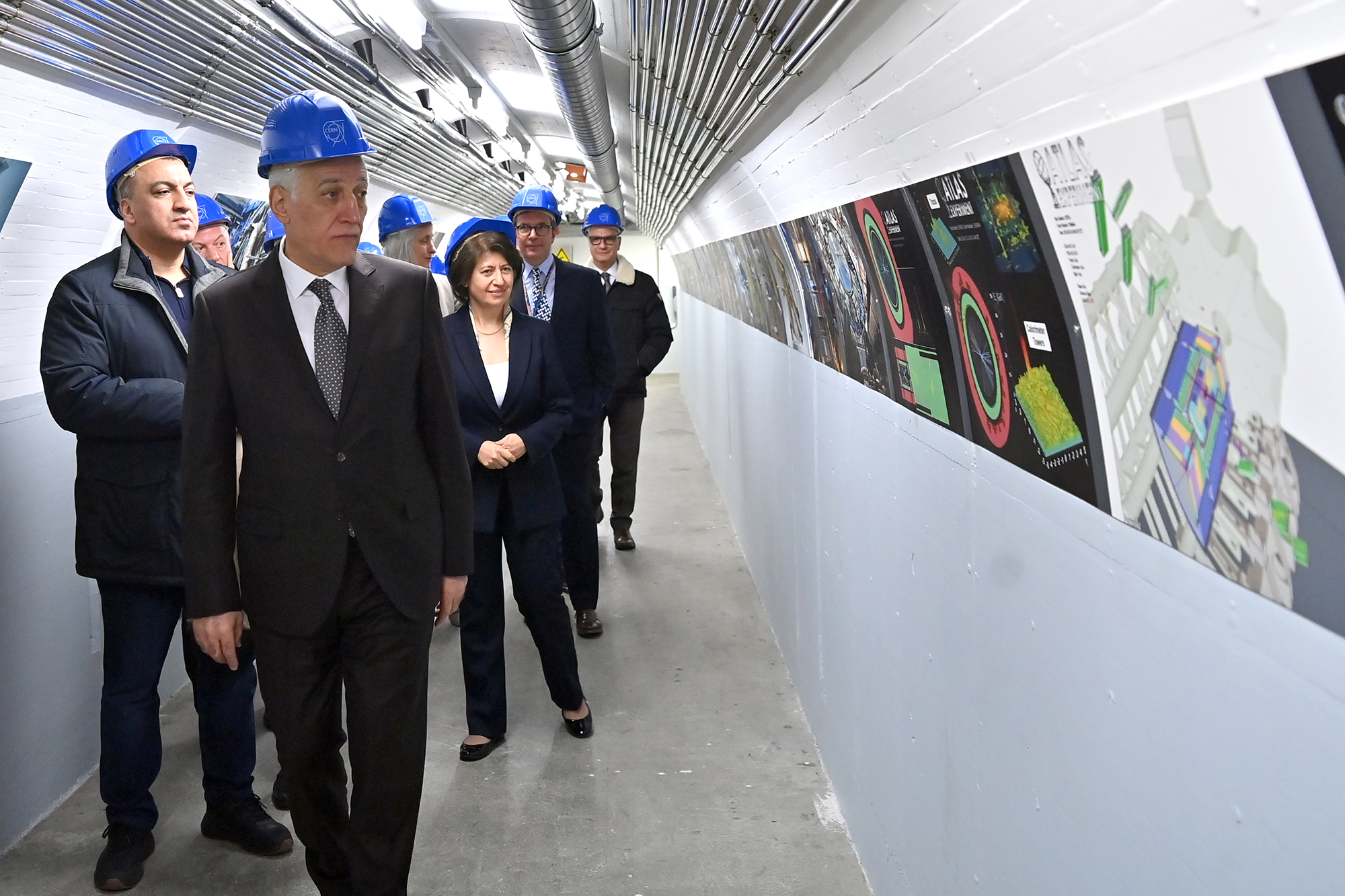 66133_b.jpg (1.74 MB)