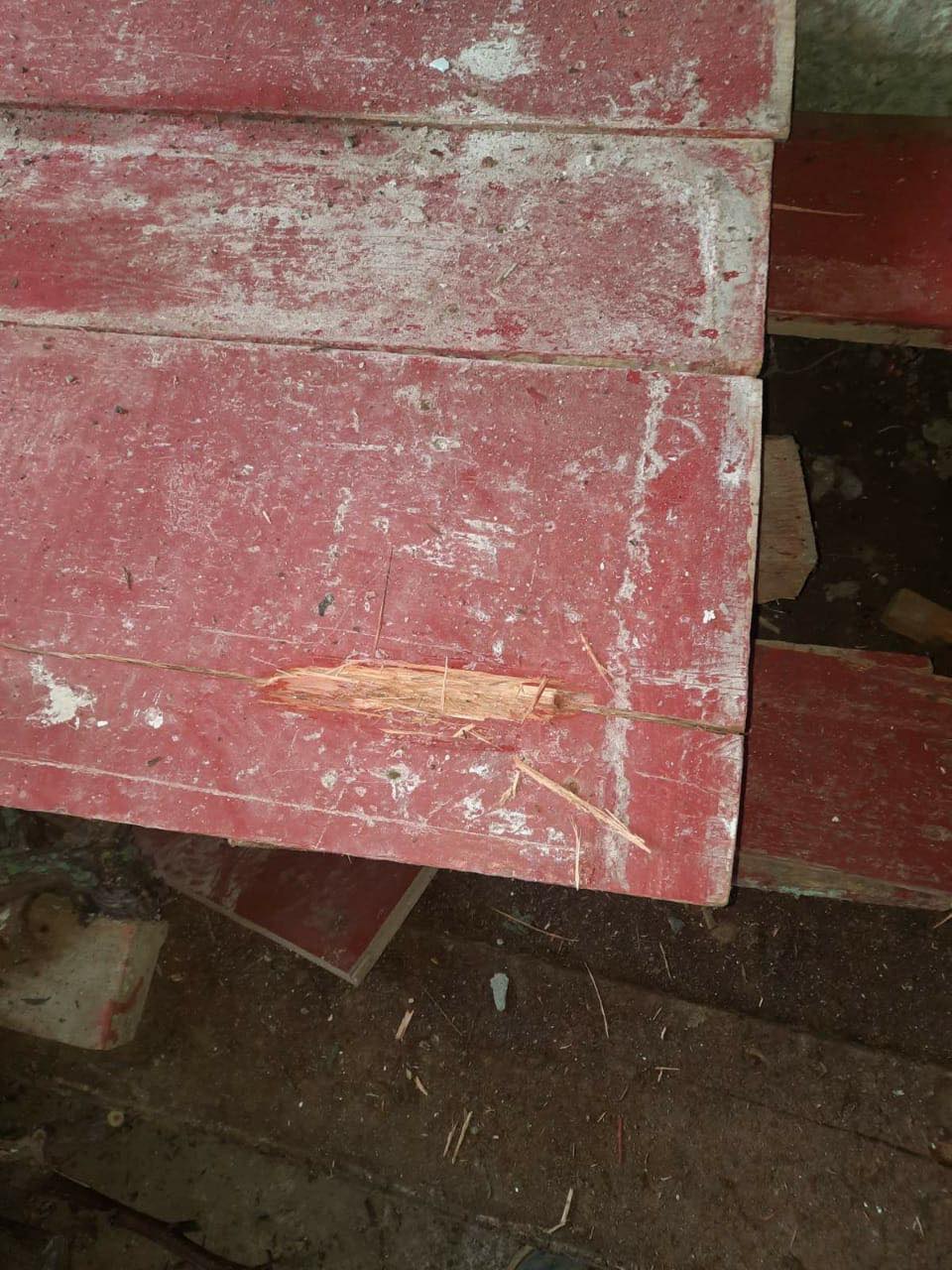 քքքքքքքք.jpg (176 KB)