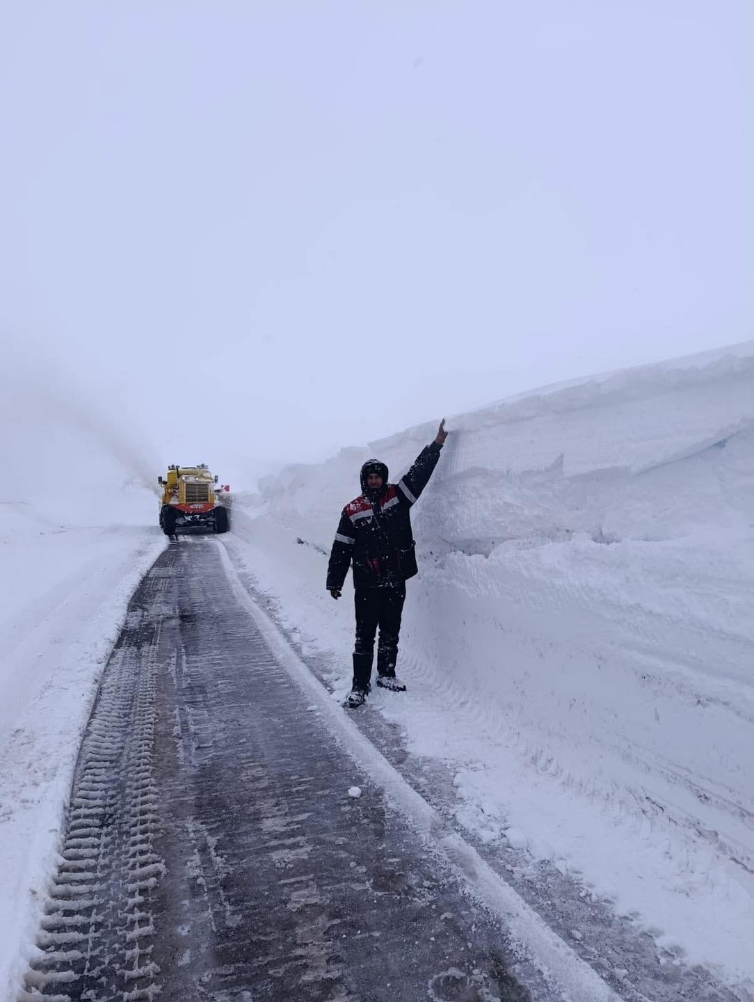 633694348_122358218912003277_828801094996150480_n.jpg (113 KB)