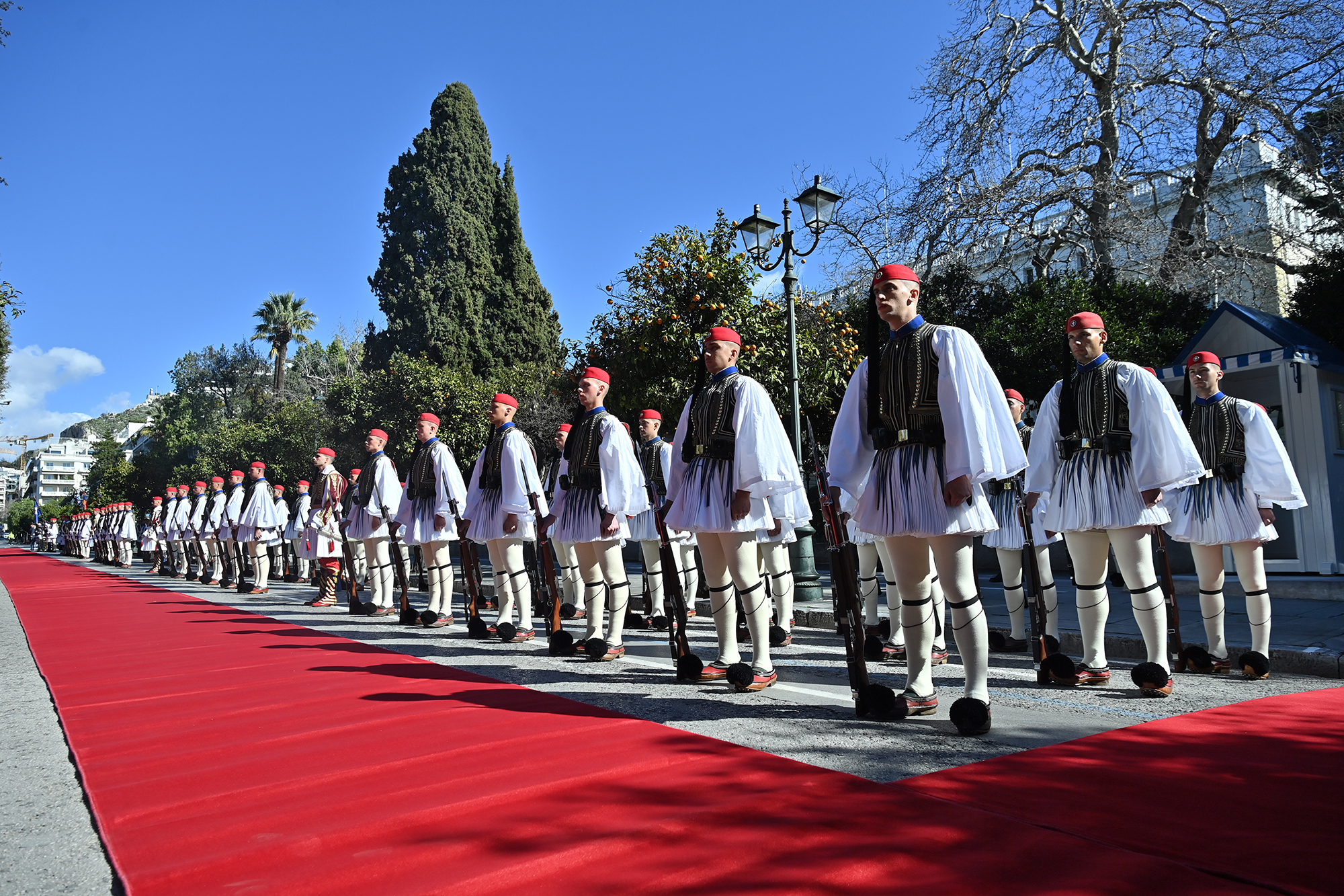 66338_b.jpg (2.34 MB)